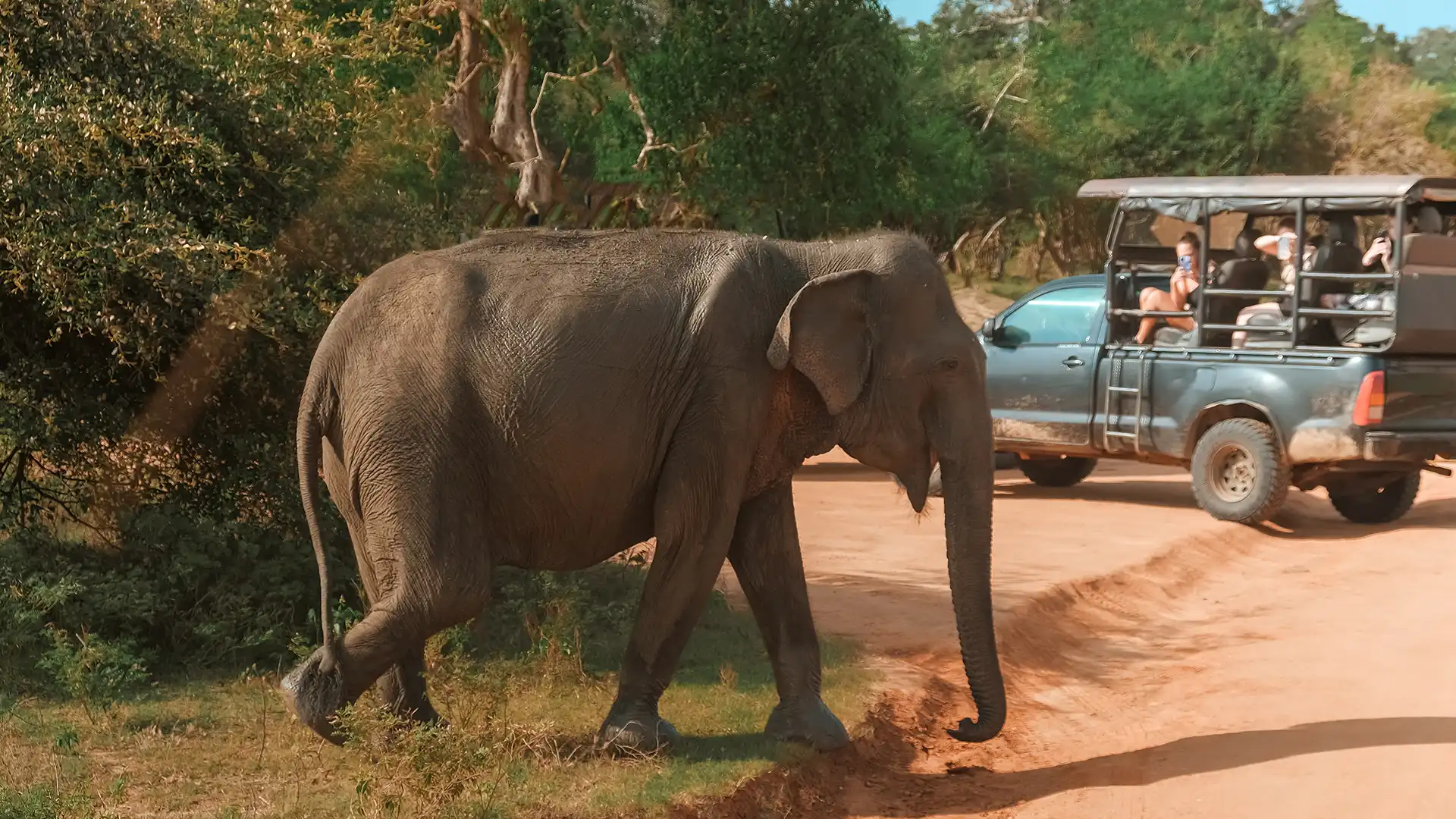 Yala National Park — photo 2
